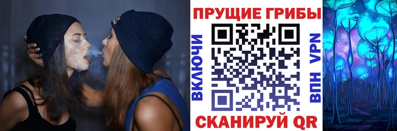 Псилоцибиновые грибы Cubensis  Купить где  Нижний Новгород 